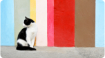 Imagem de um gato preto e branco com um fundo colorido